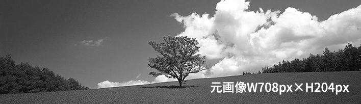 画像装飾01or画像装飾凸01(全幅100%)